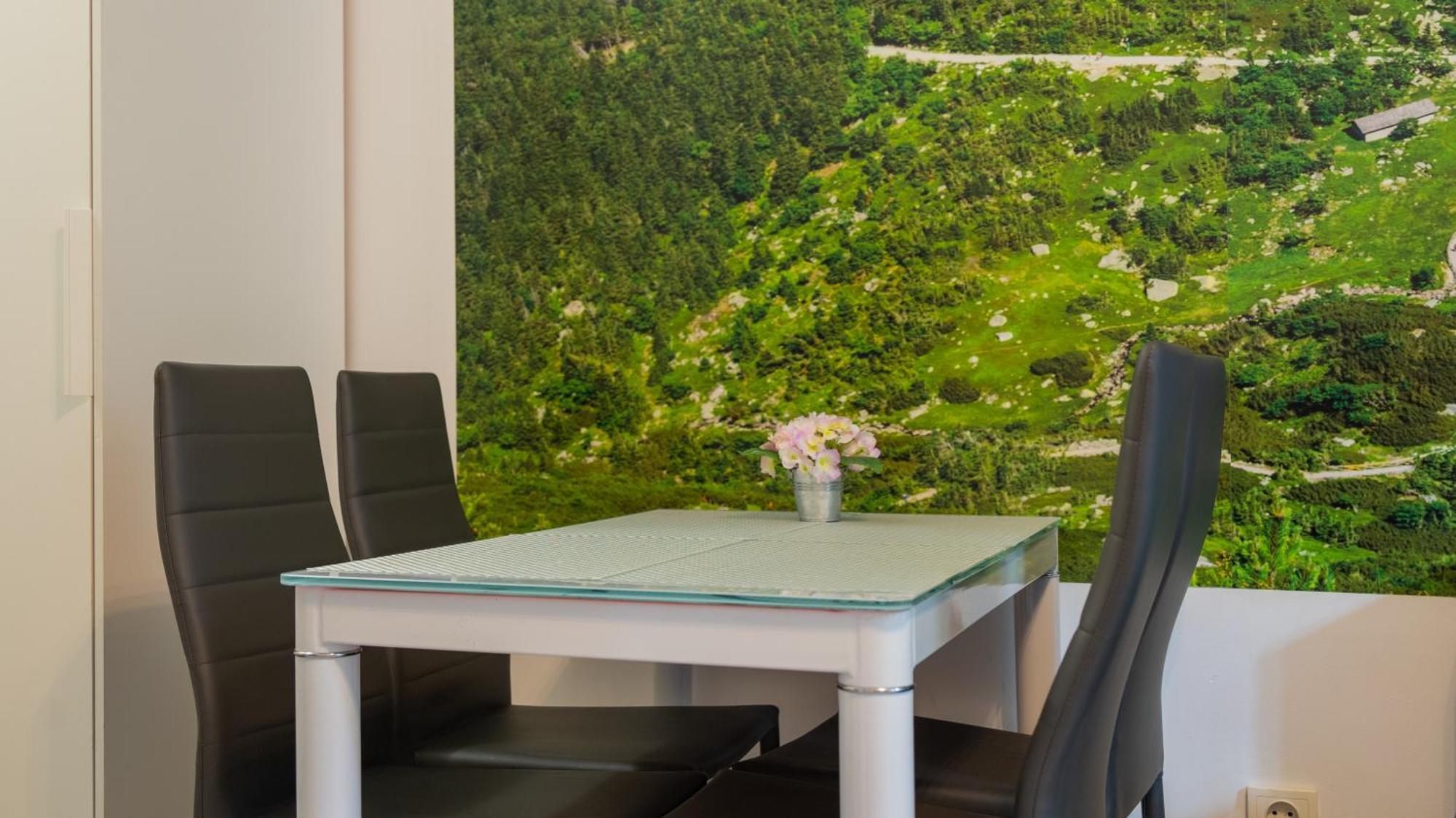 Apartament Ski Sudety คาร์ปัตซ์ ภายนอก รูปภาพ